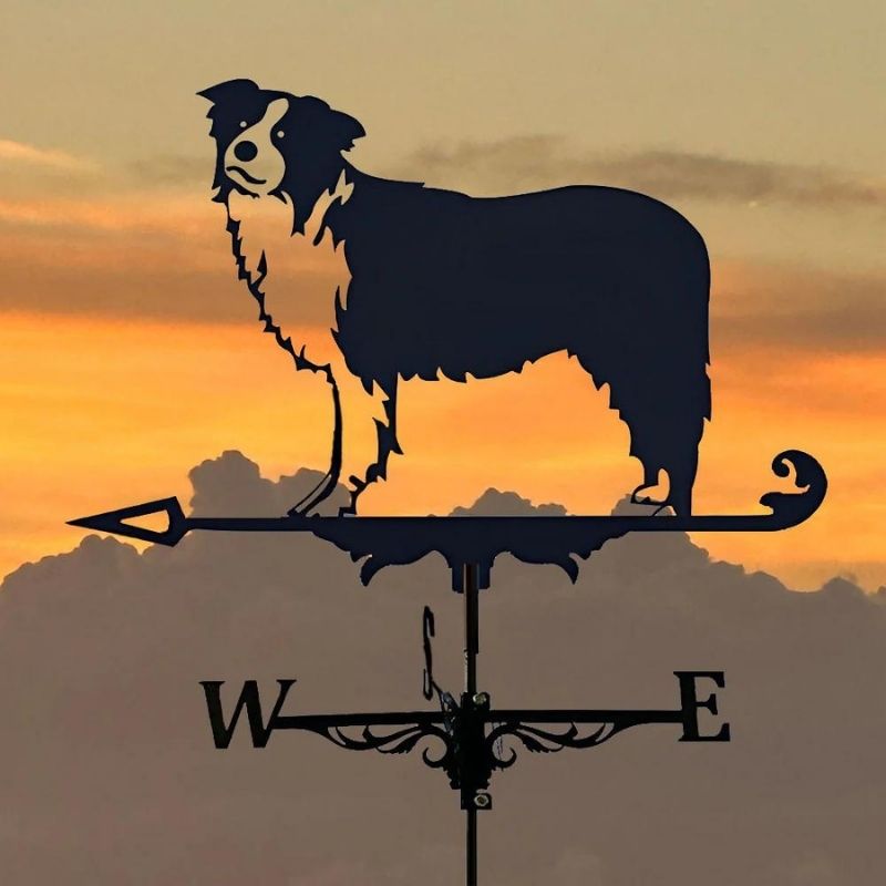 Border Collie Stainless Steel Weathervane MW012