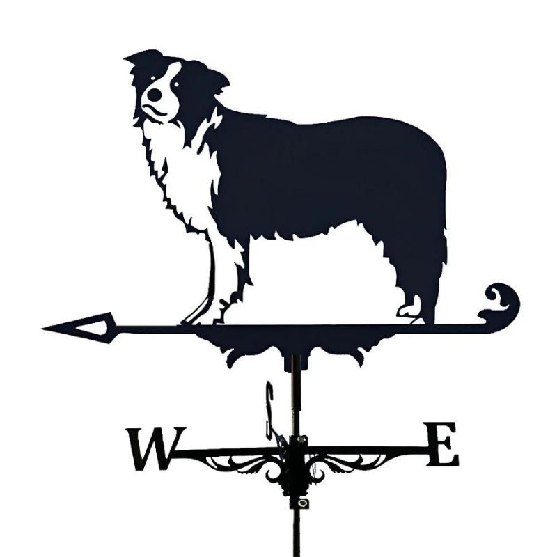 Border Collie Stainless Steel Weathervane MW012