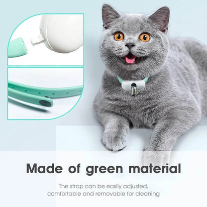 Electric Smart Amusing Collar for Kitten