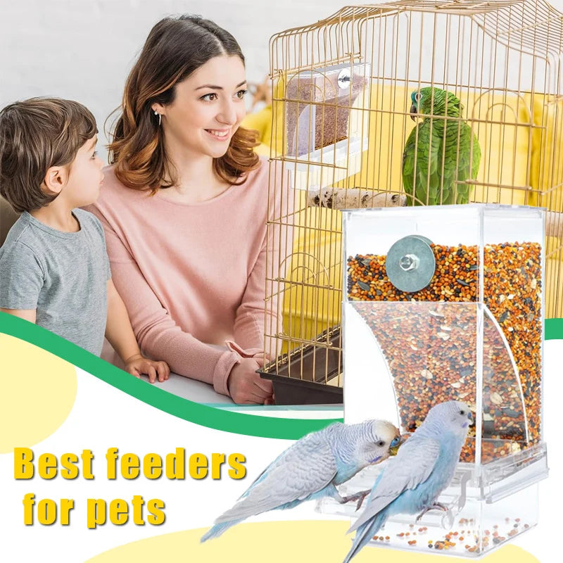 No Mess Automatic Bird Feeder