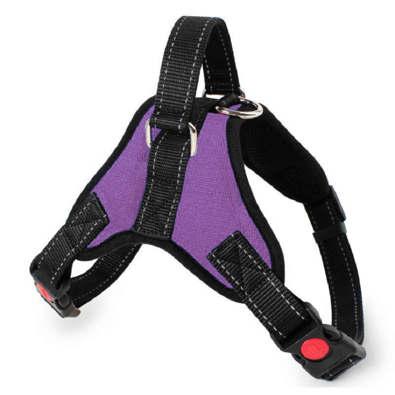 SALE ADJUSTABLE SAFETY DOG HARNESS