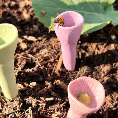 Bee Insect Drinking Cup - A SET (5PCS)