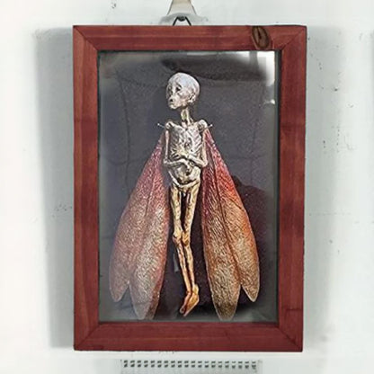 Handcrafted Mummified Fairy Display