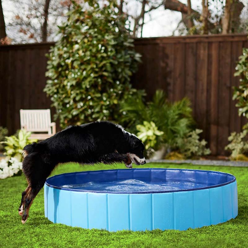 Portable Pool - Foldable Pet Bathing Pool