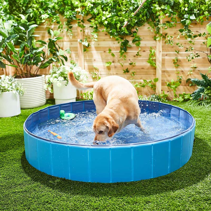 Portable Pool - Foldable Pet Bathing Pool