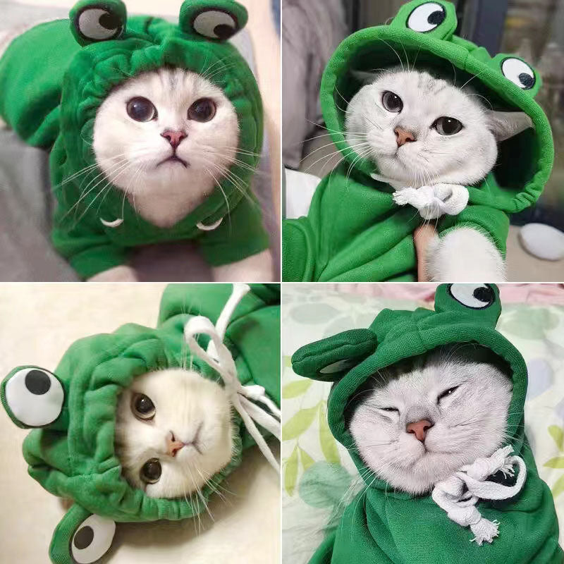 Cute Frog Pet Clothes