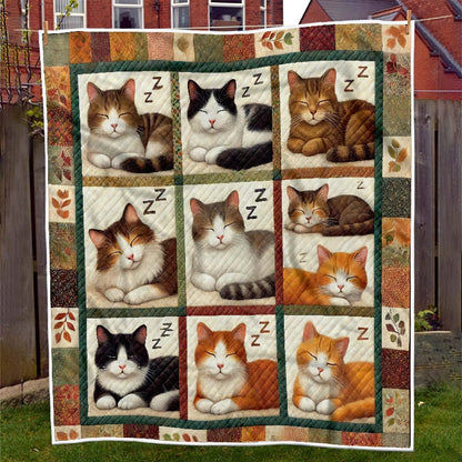 Vintage Sleeping Cat Blanket - D270 - Premium Blanket