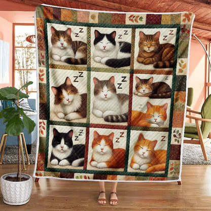 Vintage Sleeping Cat Blanket - D270 - Premium Blanket