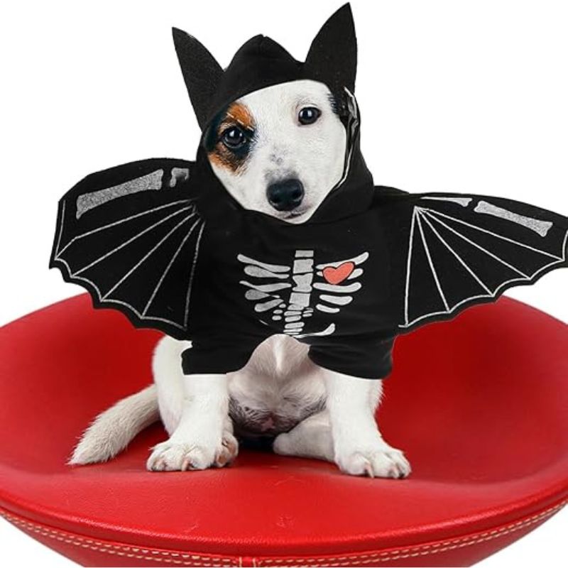 Chucky Pet Costume - Bat