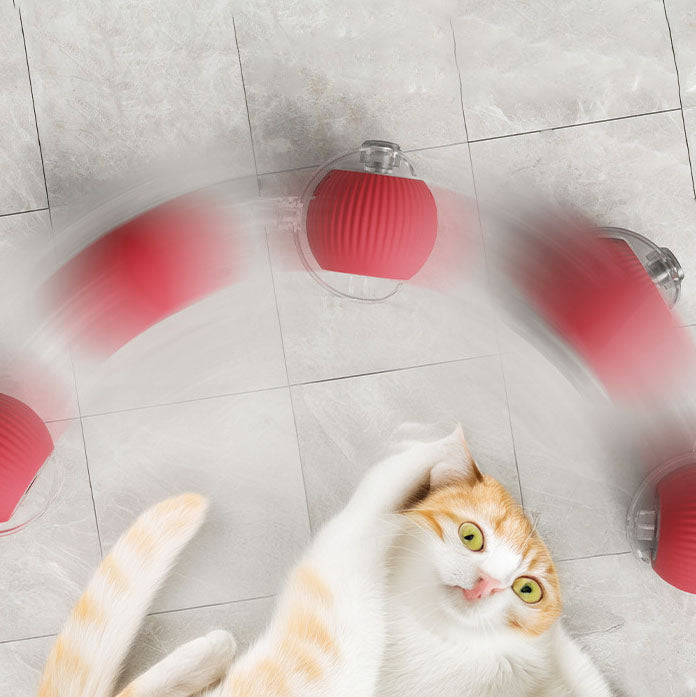 Smart Interactive Pet Toy Ball