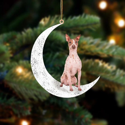 American Hairless Terrier Sit On The Moon Ornament MO137