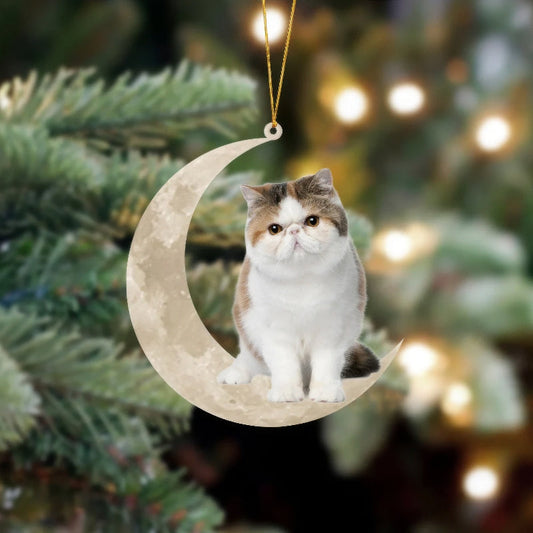 Exotic Shorthair Cat Sits On The Moon Hanging Ornament Cs019