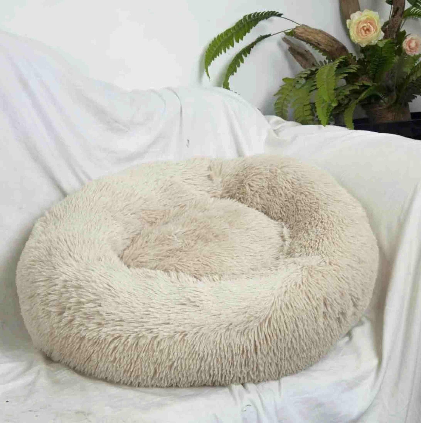 Small Dog Calming Bed