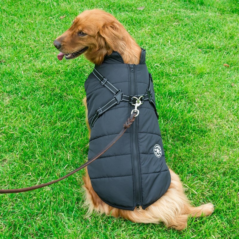 Waterproof Winter Jacket with Built-in Harness