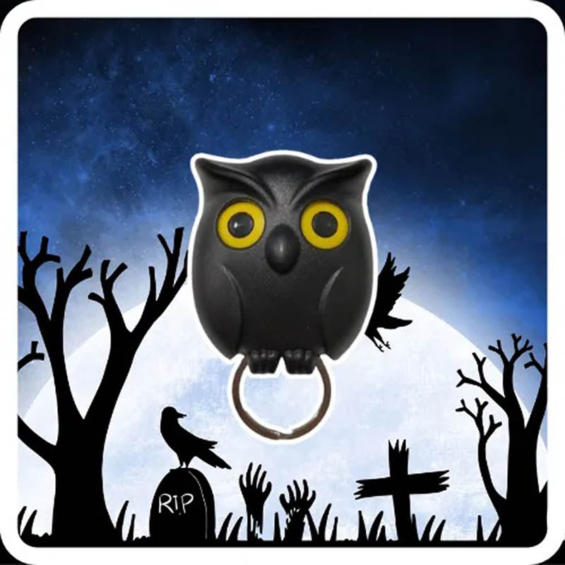 Owl Key Holder - Automatic Open Close Eyes