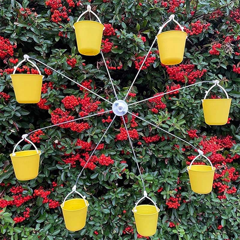 Ferris Wheel Bird Feeder - The Best Entertainment Show Outside the Window