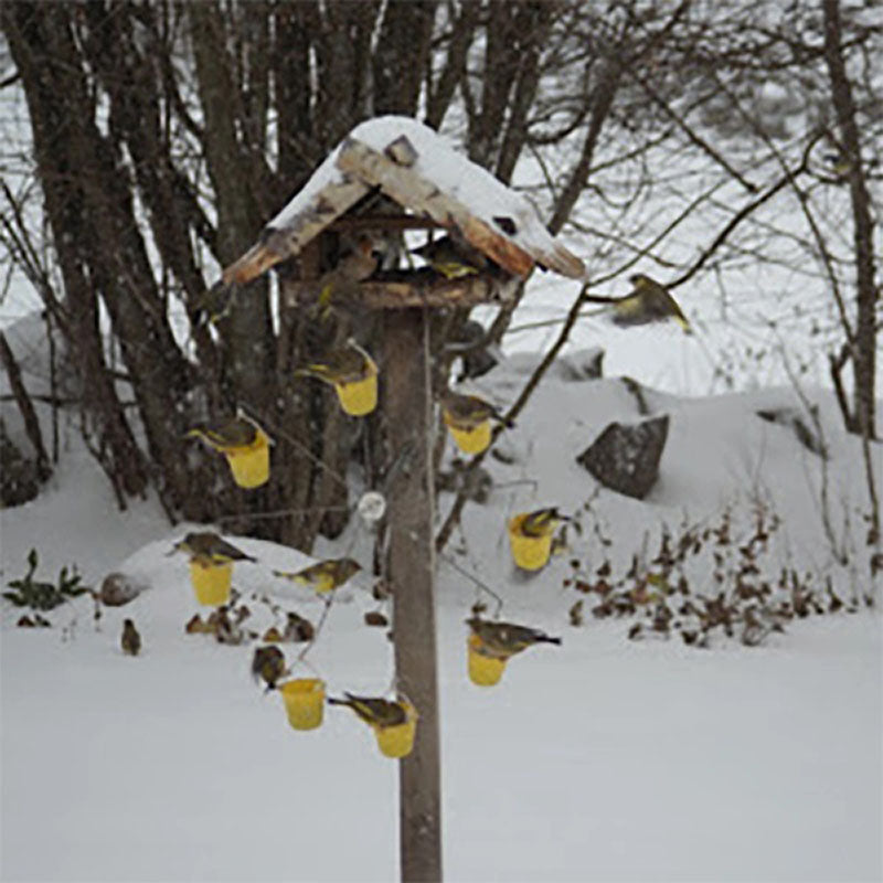 Ferris Wheel Bird Feeder - The Best Entertainment Show Outside the Window