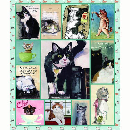 Cute Cats - B199 - Premium Blanket