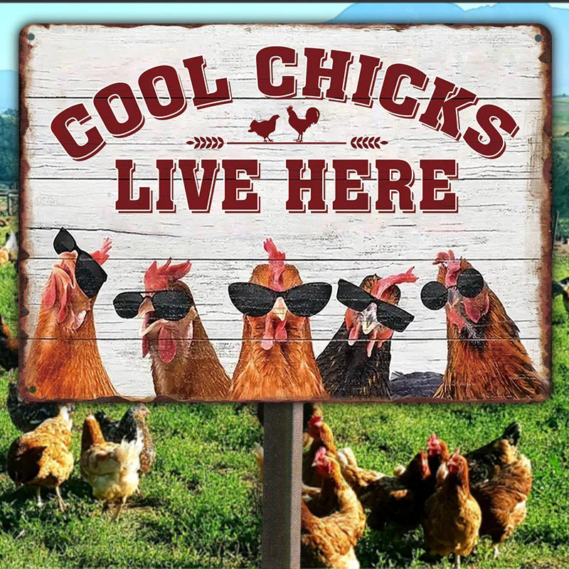 Chicken Coop Sign | Cool Chicks Live Here Chicken Coop Sign Metal Cool Chicks Live Here Information Signs