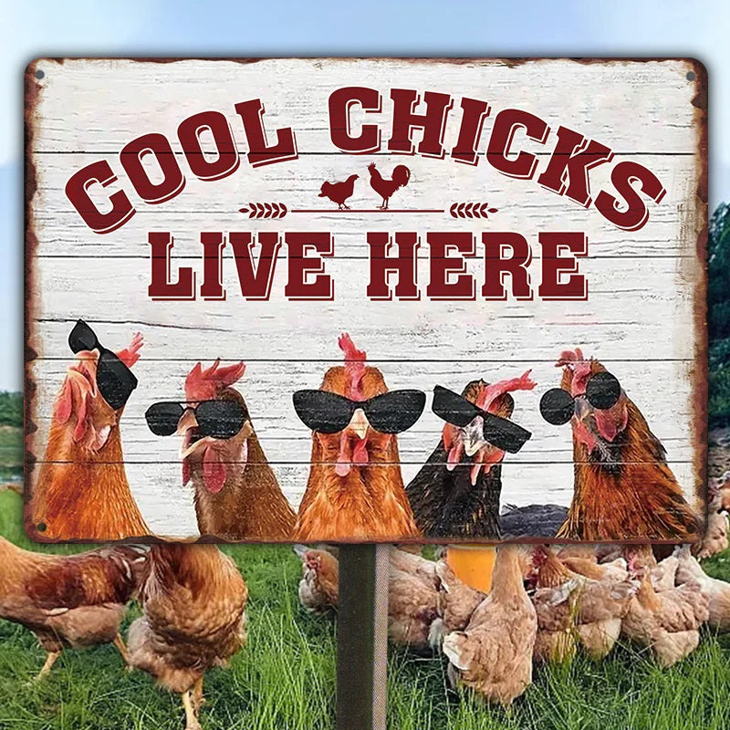 Chicken Coop Sign | Cool Chicks Live Here Chicken Coop Sign Metal Cool Chicks Live Here Information Signs