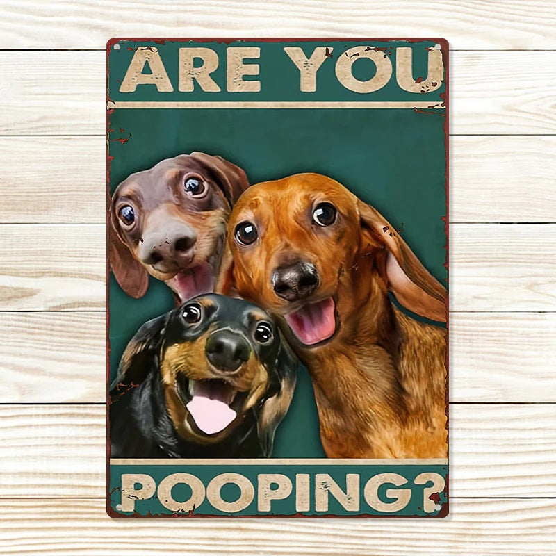 Are You Pooping Funny Dogs - Metal Sign - Gifts For Pet Lovers Personalized Custom Metal Sign