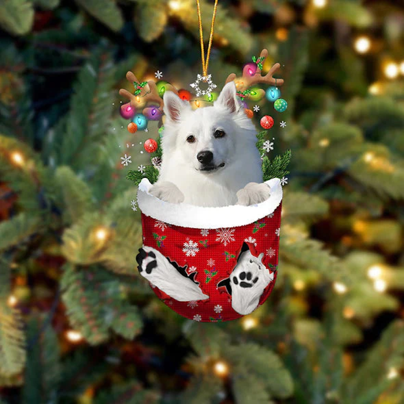 American Eskimo In Snow Pocket Christmas Ornament SP085