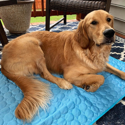 🌟 Cooling Summer Pet Mat (🔥 Sale 50% Off)