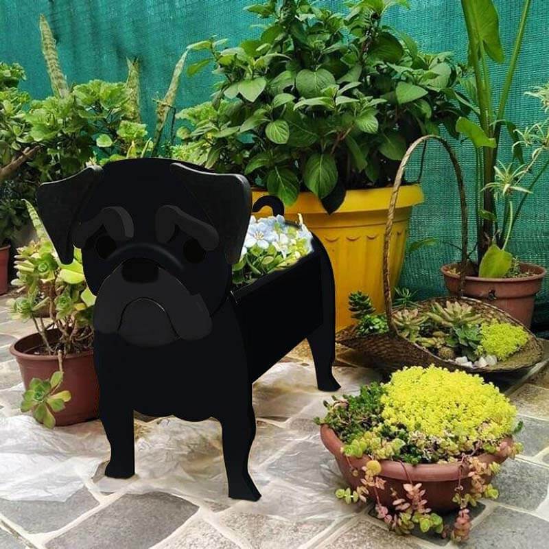 Black Pug Planter AP026