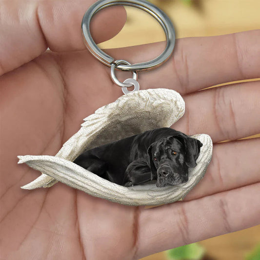 Sleeping Angel Acrylic Keychain Black Great Dane SA069