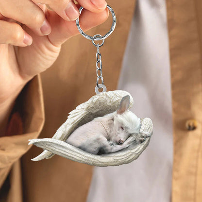 Sleeping Angel Acrylic Keychain Chinese Crested Dog SA099