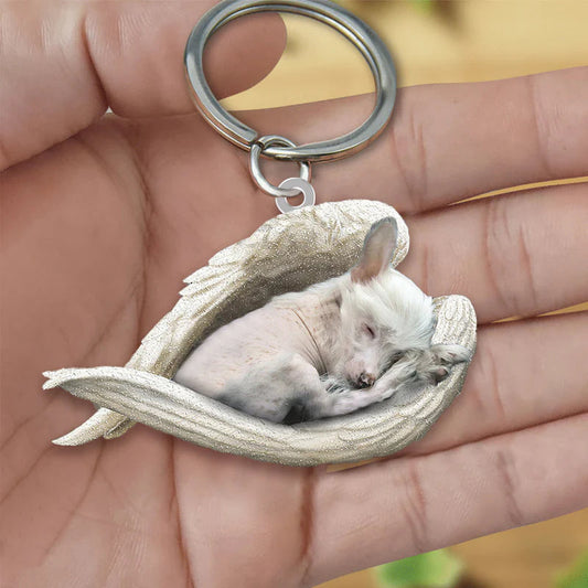 Sleeping Angel Acrylic Keychain Chinese Crested Dog SA099