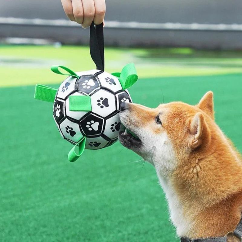 Interactive Football Dog Toy