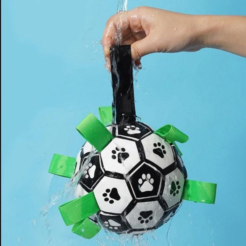 Interactive Football Dog Toy