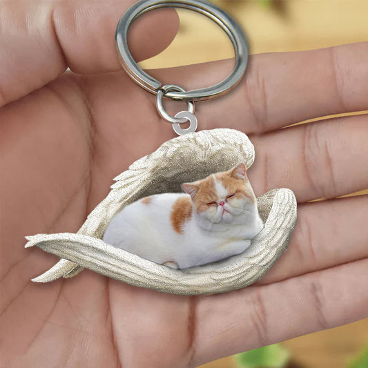 Sleeping Angel Acrylic Keychain Exotic Shorthair Cat SA112