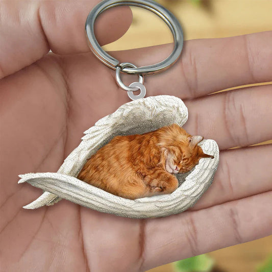 Sleeping Angel Acrylic Keychain Maine Coon Cat SA117