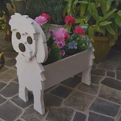 Maltese Planter