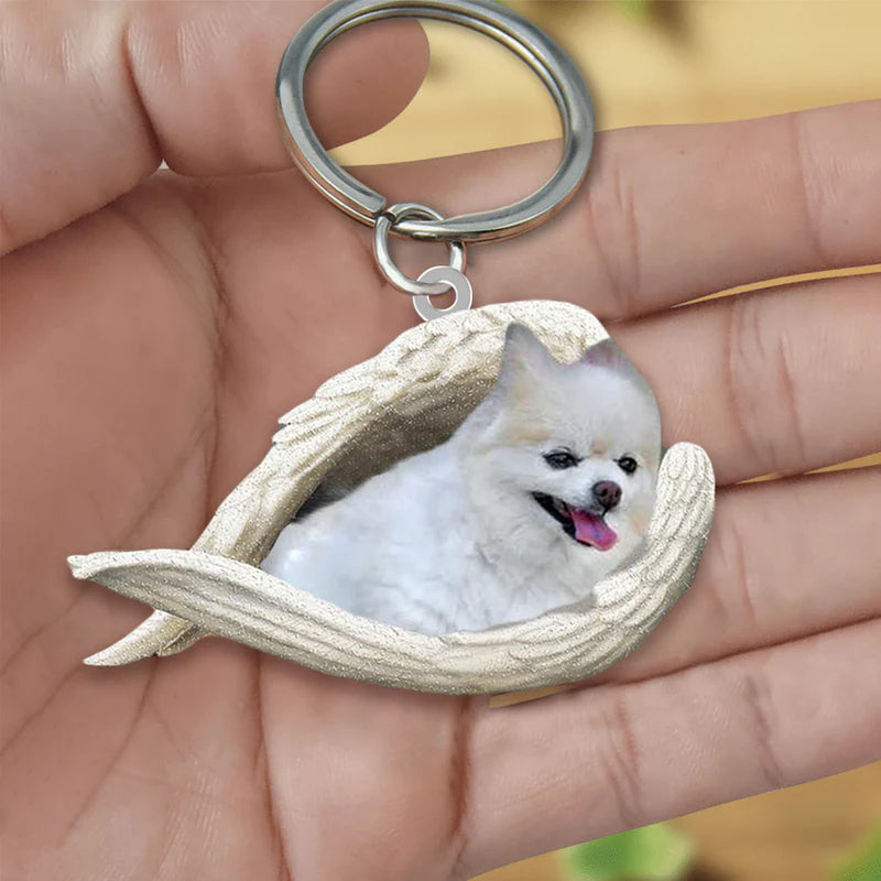 Sleeping Angel Acrylic Keychain Pomeranian SA108