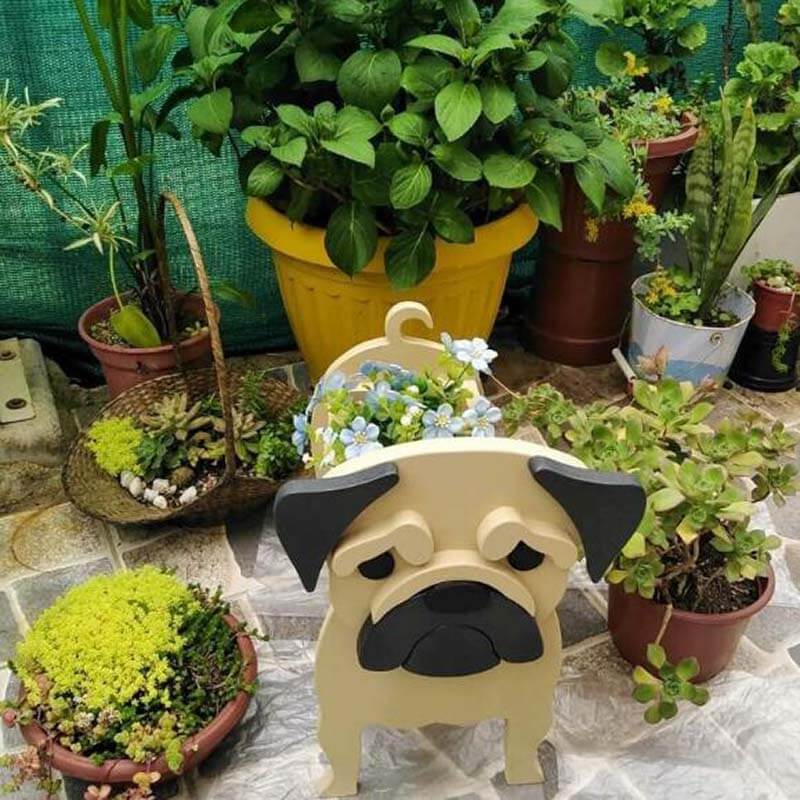 Pug Planter