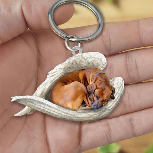 Sleeping Angel Acrylic Keychain Rhodesian Ridgeback SA066