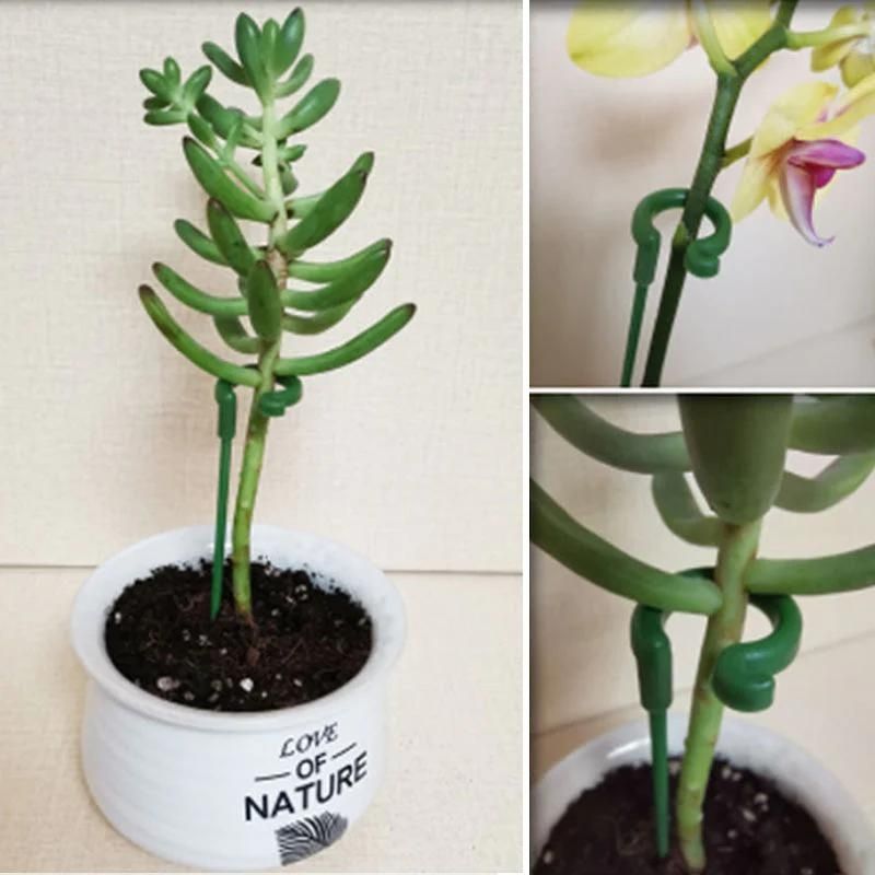 🌲 Single Stem Plant Supports(10PCS)