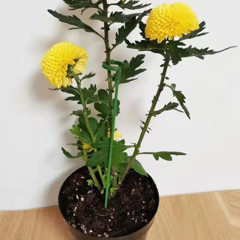 🌲 Single Stem Plant Supports(10PCS)