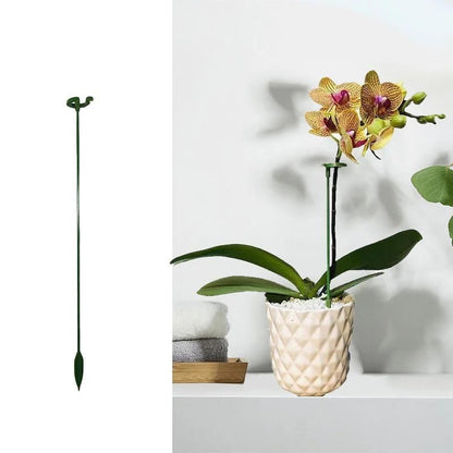 🌲 Single Stem Plant Supports(10PCS)